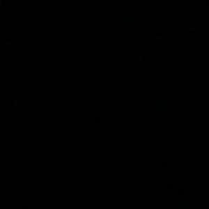 Meet your Posher, Anjali